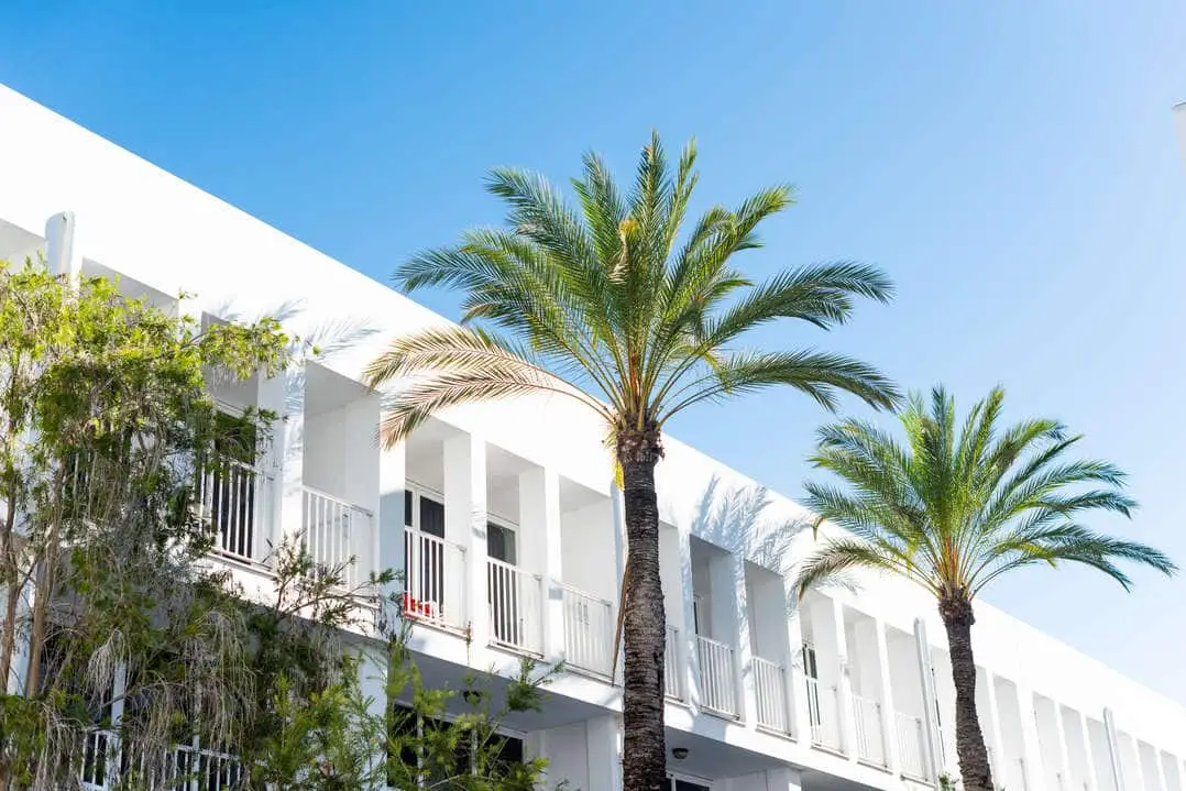 Hotel exterior balconies with palm trees