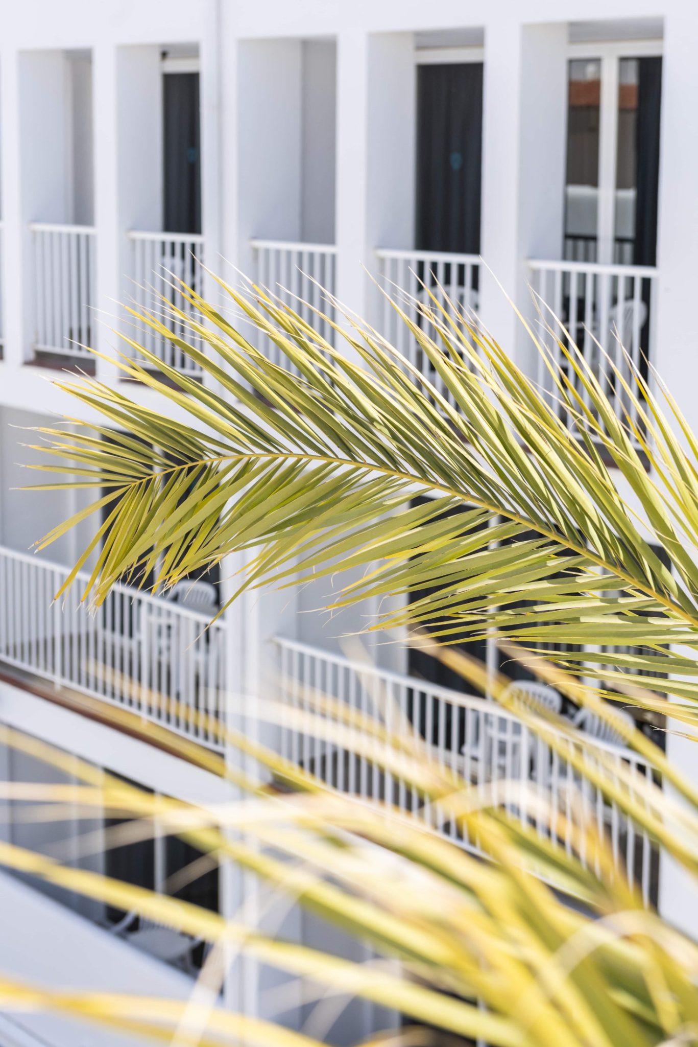 Ibiza-Rocks-Hotel_Sofia-Gomez-Fonzo-154