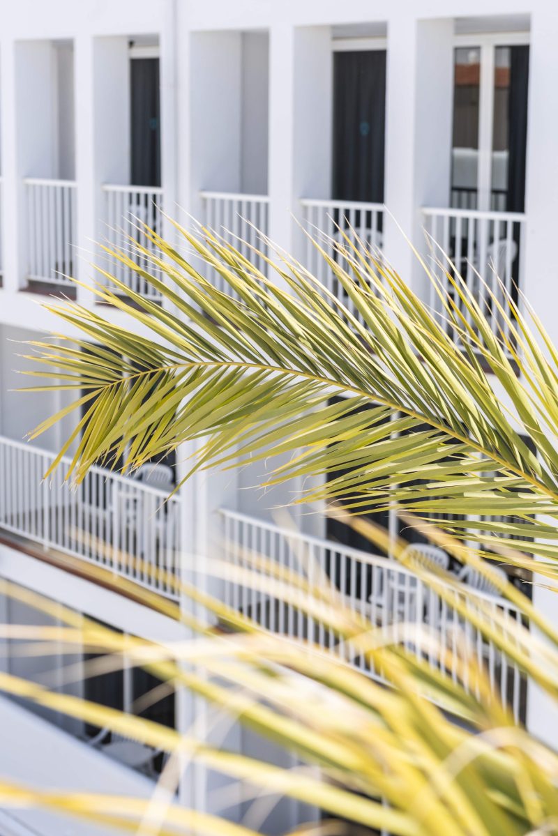 Ibiza-Rocks-Hotel_Sofia-Gomez-Fonzo-154